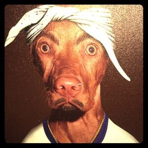 Tupac dog !! New! Such a dope Peice of ART!!
